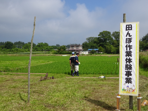 「みつけた～！」田んぼの草取り＆生き物観察なのだ♪_c0259934_15382738.png