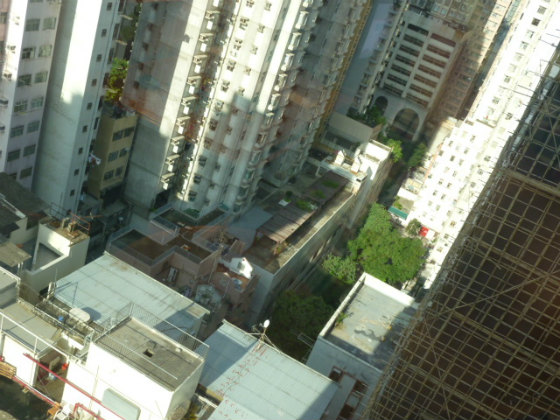 e0248743_11255033.jpg
