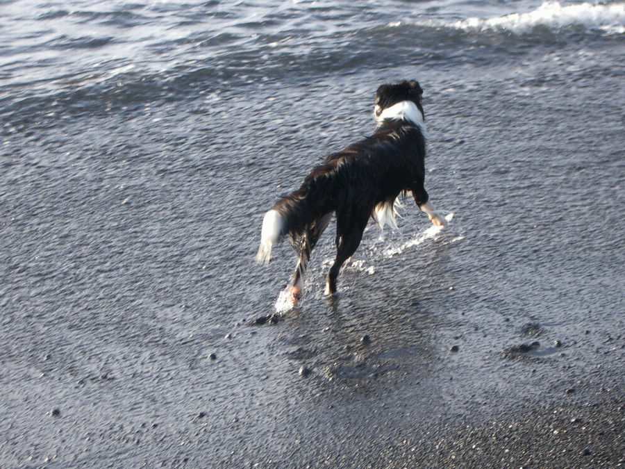 e0128144_05180946.gif
