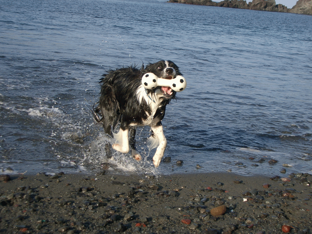 e0128144_05193023.gif