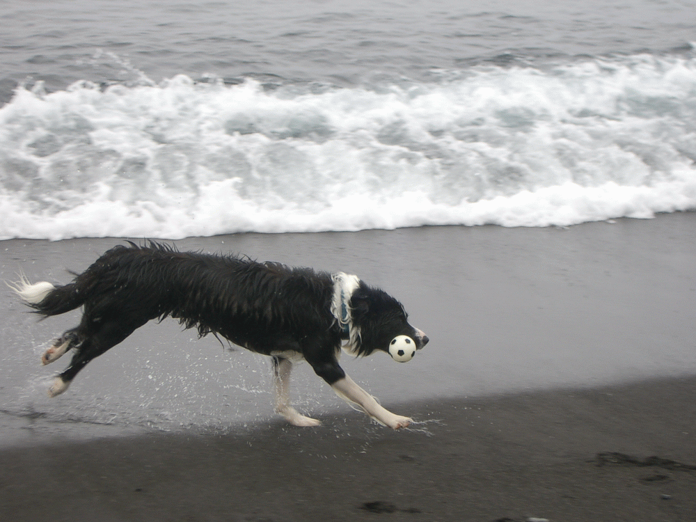 e0128144_05193998.gif