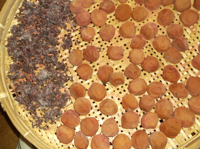 c0006745_621216.jpg