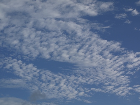 e0100046_1421638.jpg