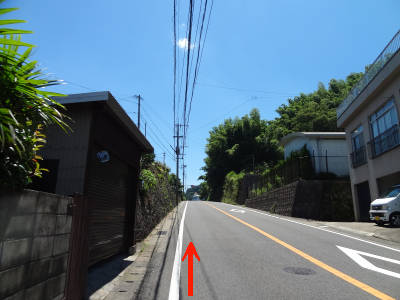 e0033751_1854739.jpg