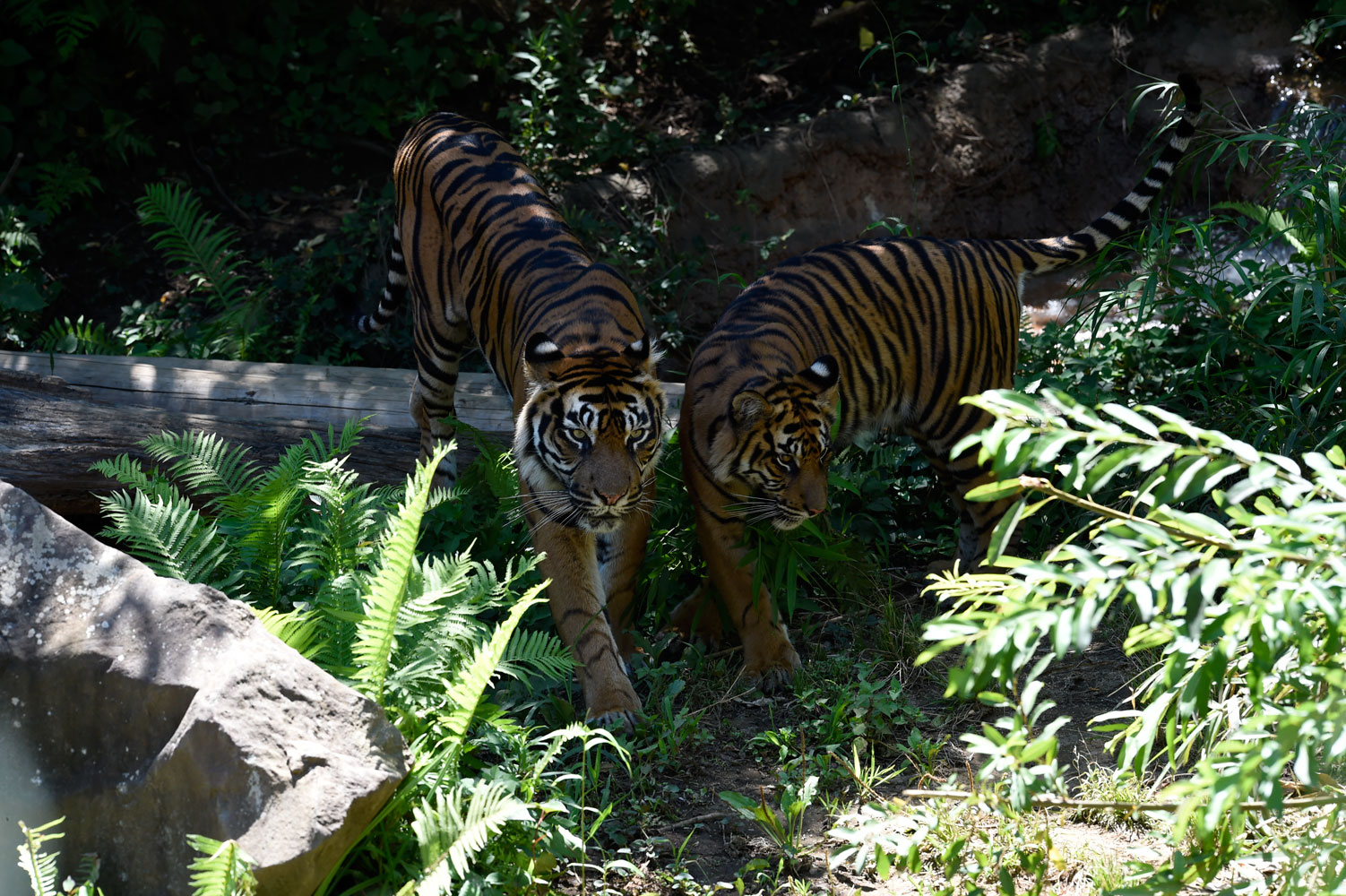 b0023856_762557.jpg