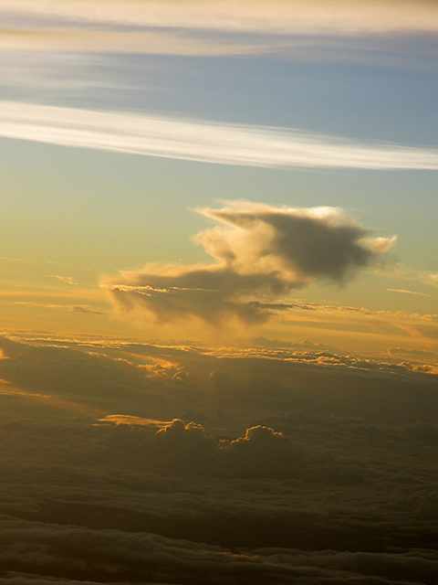 31000フィートの空_b0031558_23474918.jpg