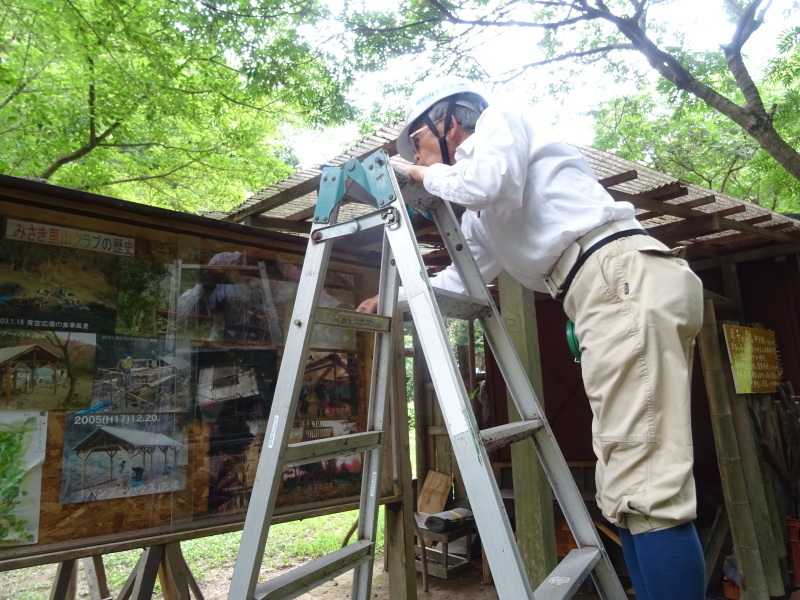 イノシシと知恵比べ開始　in　孝子の森_c0108460_23164533.jpg