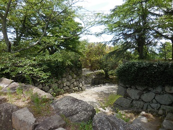 e0033570_22124453.jpg