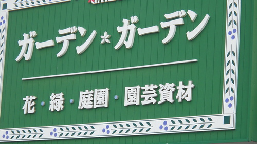 豊橋ガーデンガーデン 浜松らんちゅう日誌