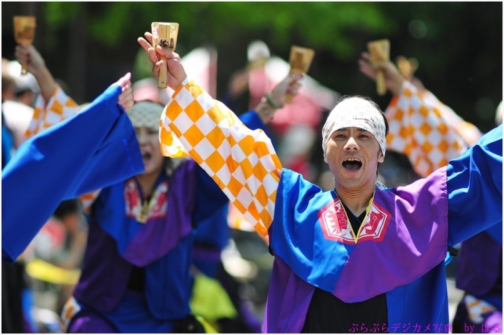 光が丘よさこい 2015　（2）　あーしゃ・朝霞翔舞_b0104774_00333279.jpg