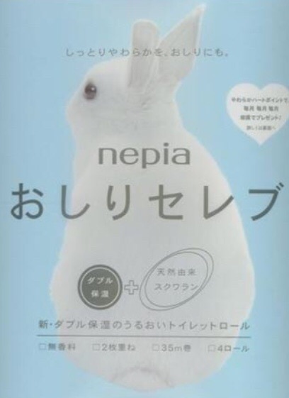 ミニウサギうささんの紹介 : もふもふもふ スーパーミニウサギ