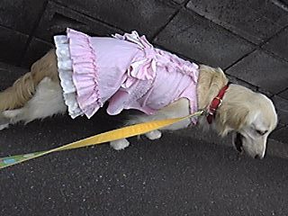 c0337990_21301617.jpg