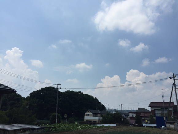 d0135694_08511178.jpg