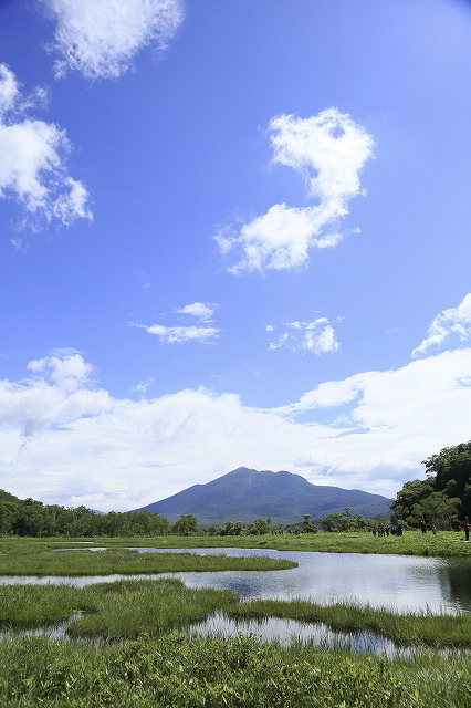 初夏の尾瀬ヶ原に行って来ました 山と野と 初夏の尾瀬ヶ原に行って来ました 山と野と