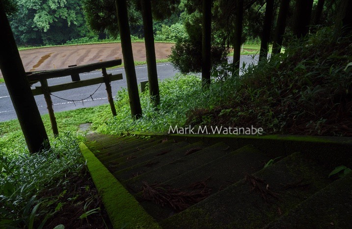伊勢神宮_e0135098_515895.jpg