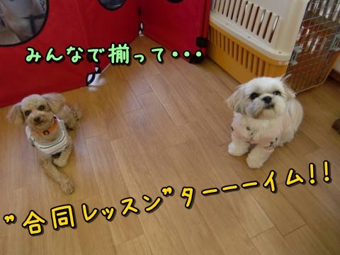 a0338800_00284220.jpg