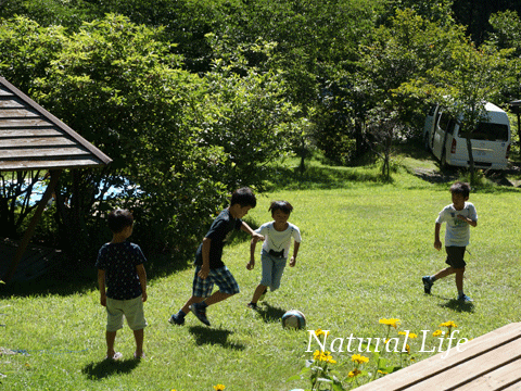 b0162000_426957.gif