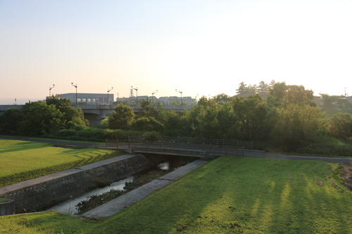 朝の散歩は相生橋から住之江橋へ、７月２２日（大夏・初候）桐始めて花を結ぶ・・・３_c0075701_9031.jpg