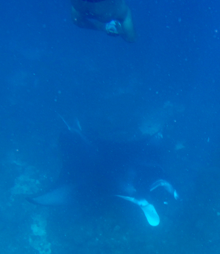 e0338303_16212619.jpg