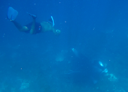 e0338303_16213964.jpg