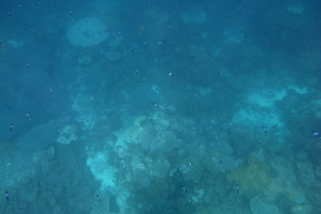 e0338303_1621490.jpg