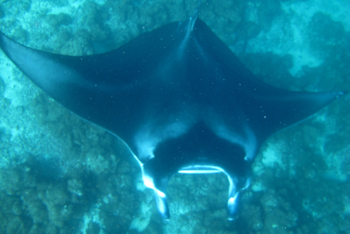 e0338303_16275917.jpg