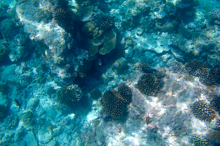 e0338303_1629328.jpg