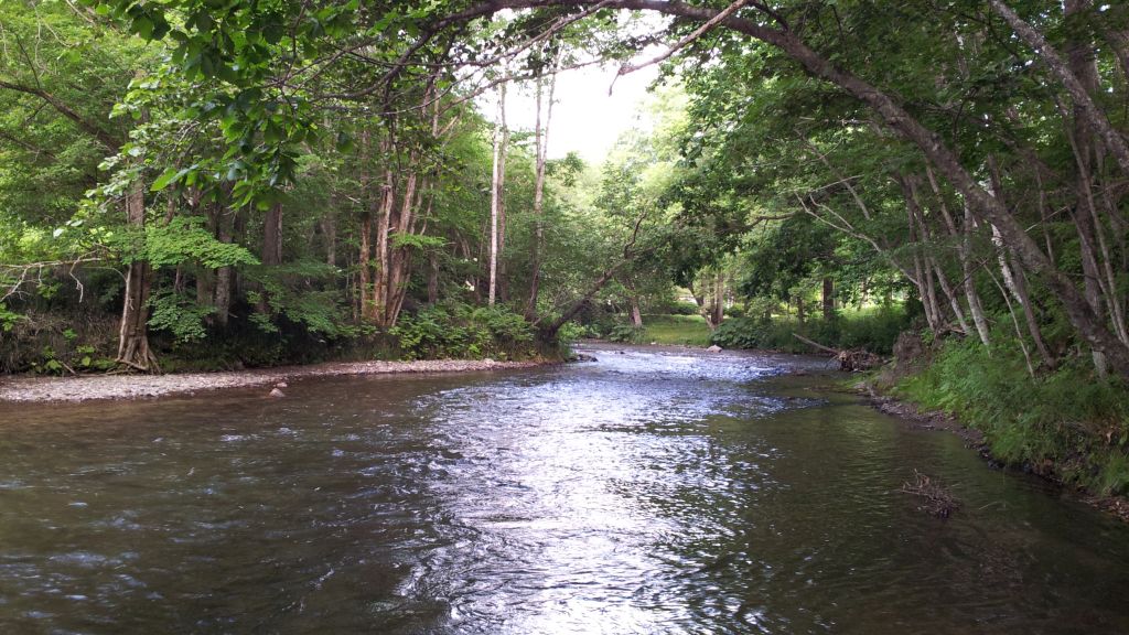 b0172805_1145793.jpg