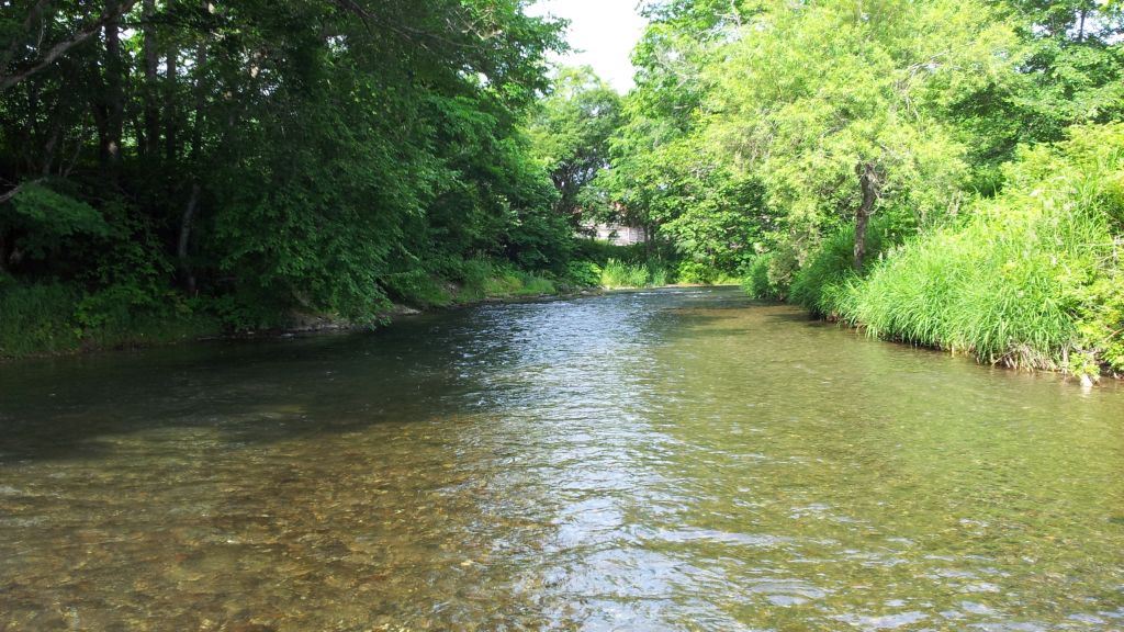 b0172805_122366.jpg