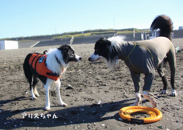 一筋縄にはいかない陽太の夏休み_d0224111_12493673.jpg