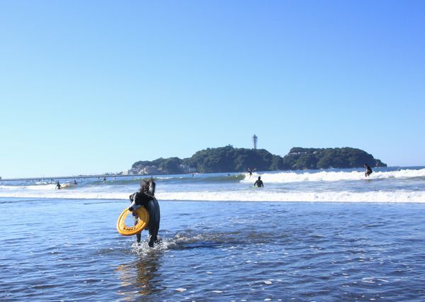 一筋縄にはいかない陽太の夏休み_d0224111_12515289.jpg