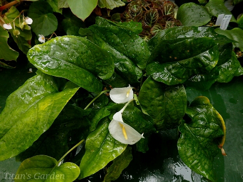 b0099813_05979.jpg