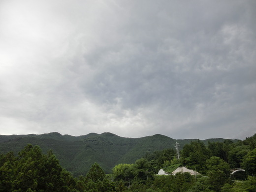 d0221319_70721.jpg