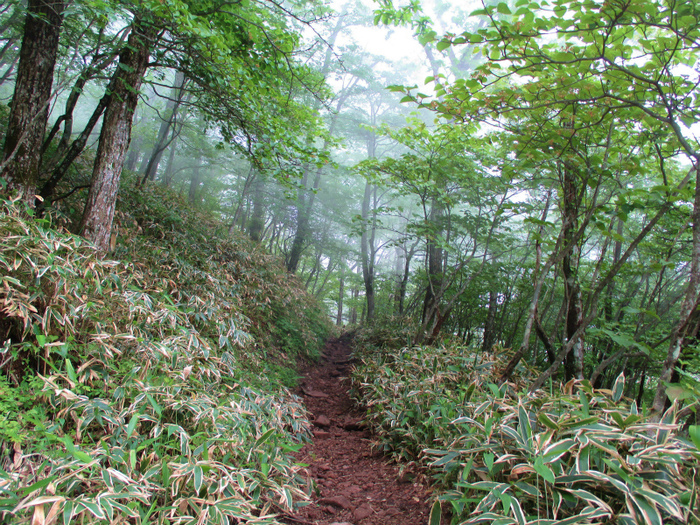 前橋市　赤城山　霧の長七郎山と幻想的なオトギの森　　　　　   Choshichirosan in Mount Akagi_f0308721_123853.jpg