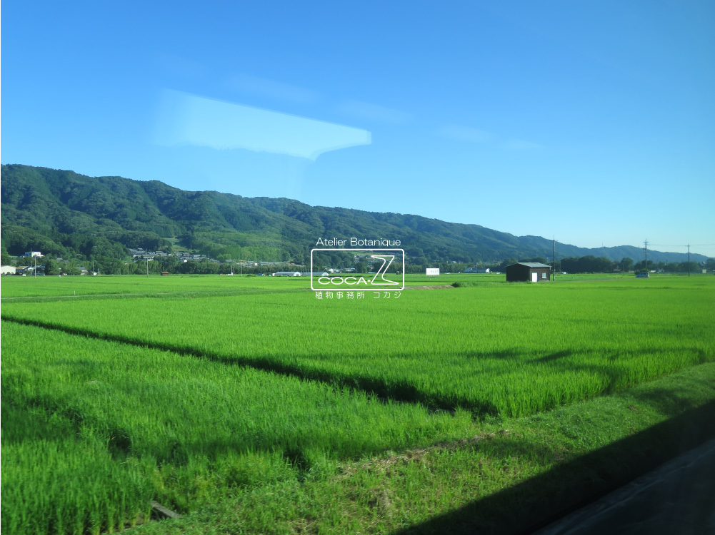 b0160123_13432627.jpg