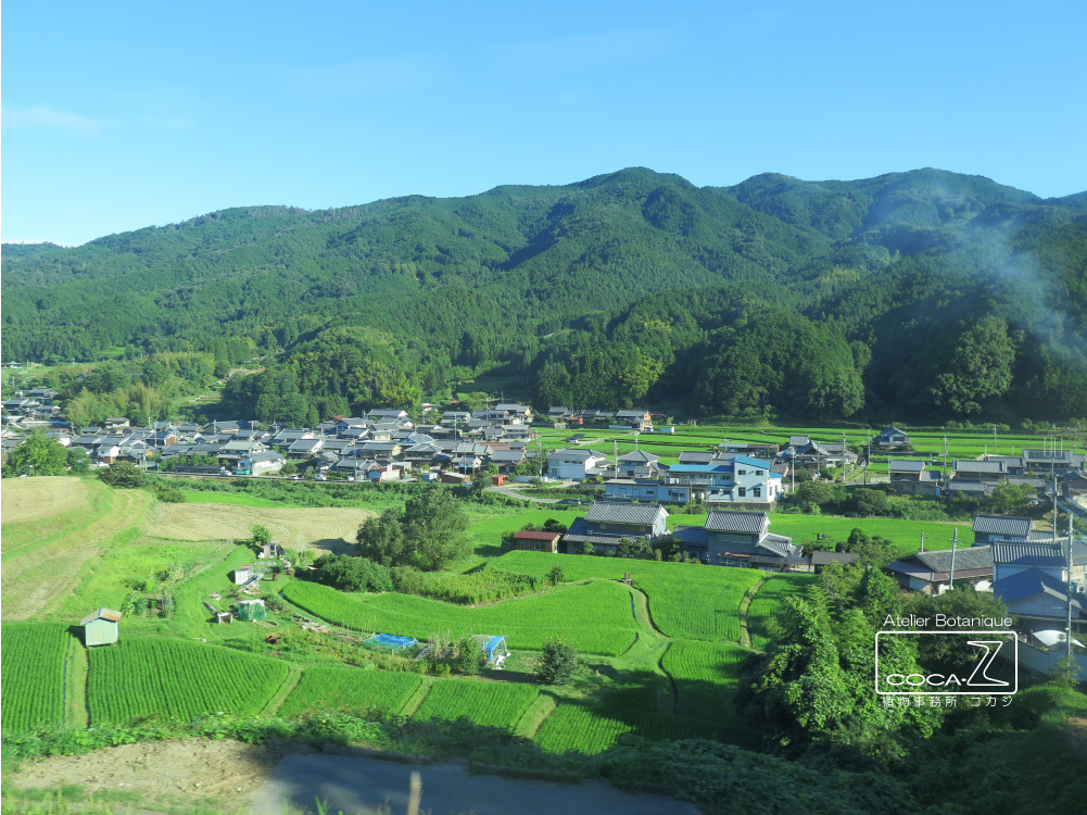 b0160123_13432634.jpg