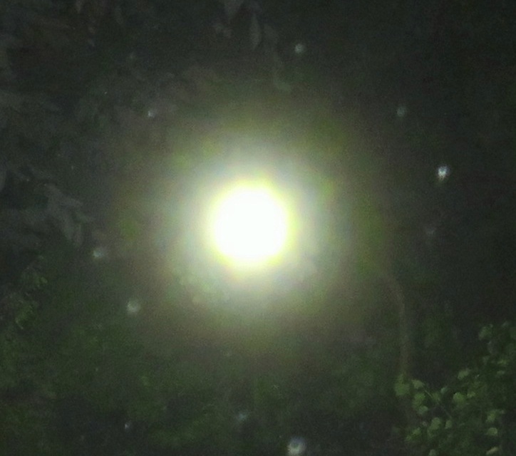 c0331825_10063748.jpg