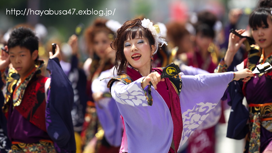 銭形よさこい2015　vol.2_a0095531_19395678.jpg