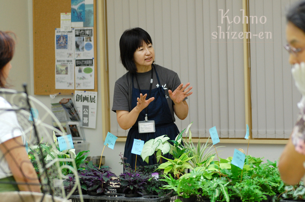 観葉植物でワイヤー壁掛け〜東急be二子玉川校ハンギング講座_d0159033_15273627.jpg