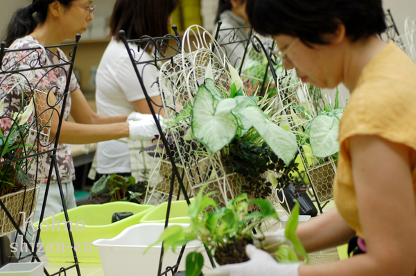 観葉植物でワイヤー壁掛け〜東急be二子玉川校ハンギング講座_d0159033_15292042.jpg