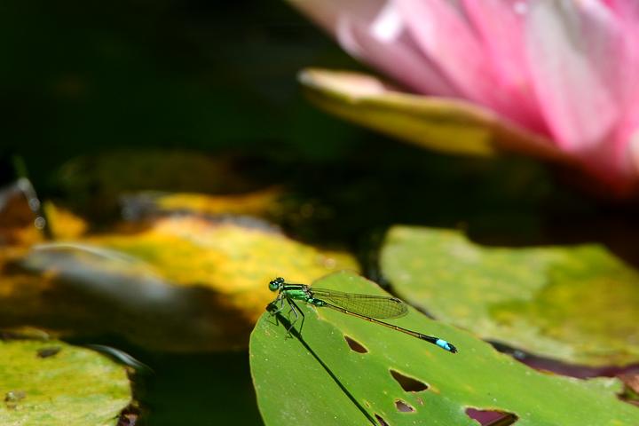 b0191934_2315239.jpg