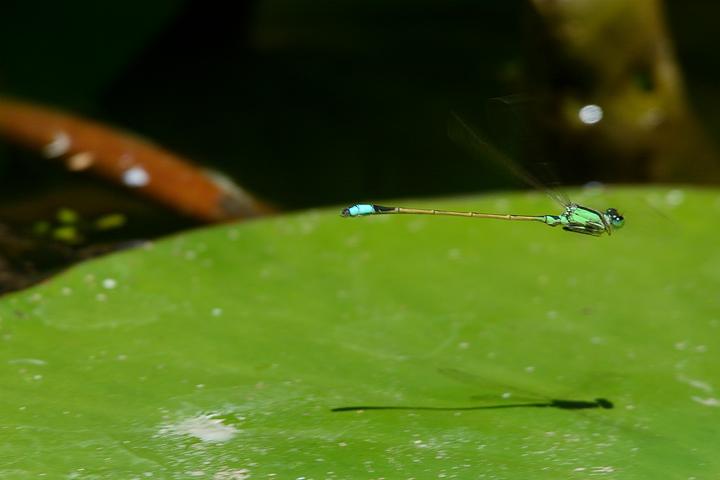 b0191934_23163454.jpg