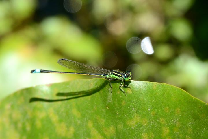 b0191934_23184342.jpg