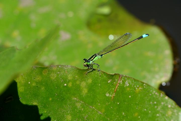 b0191934_23185982.jpg