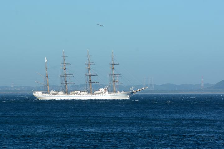 b0191934_23331290.jpg