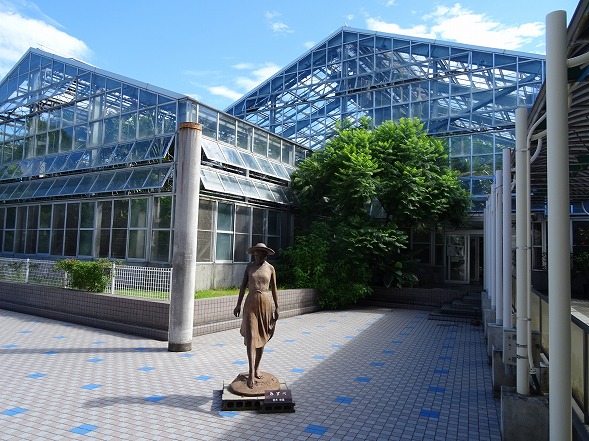 宇治市植物公園の温室 彩の気まぐれ写真