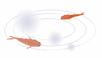 a0305046_10194575.gif