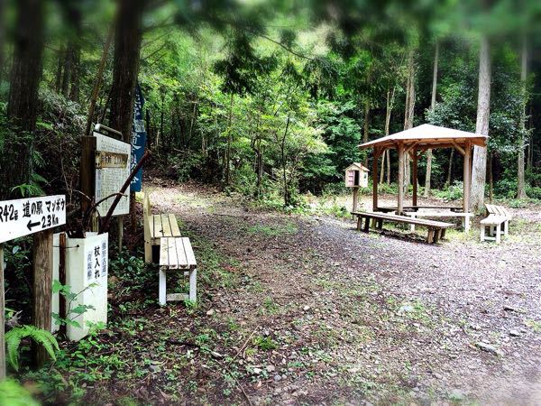 熊野古道@荷坂峠コース_e0292546_751521.jpg