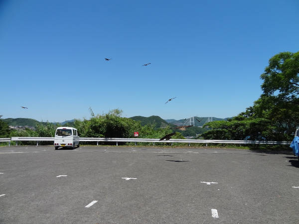 神の島公園に行ってみよう・・・そして_e0033751_1817916.jpg