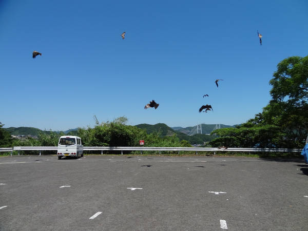 神の島公園に行ってみよう・・・そして_e0033751_18192372.jpg